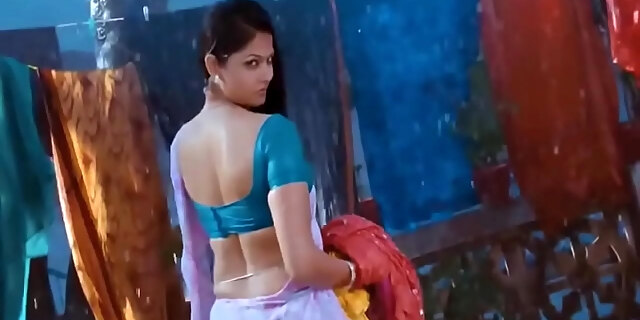 exotic, hot, hottest, indian, saree, wet, 
